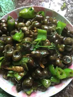 Snails
