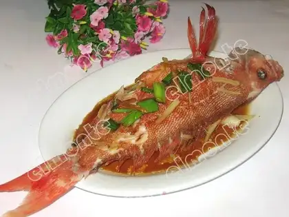Steamed red snapper