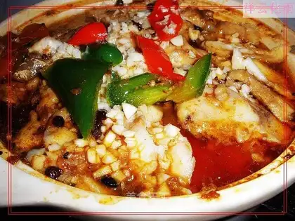 feiteng fish