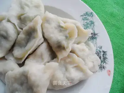 Leek and tofu dumplings