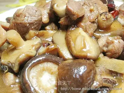 Mushroom beer duck