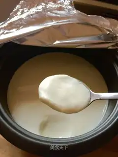 Old yogurt in the oven