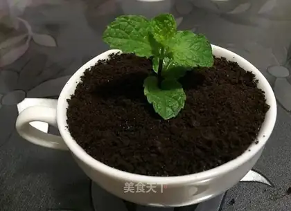 Kawakawa's yogurt plant