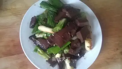 A pig's blood