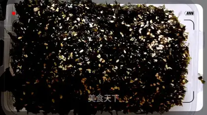Seaweed