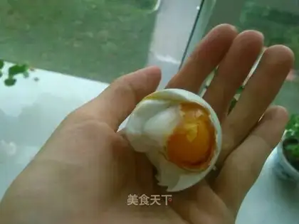 A duck egg