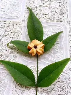 Flower cookies