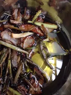 Onion oil