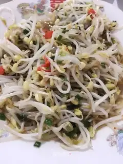 Auto green bean sprouts