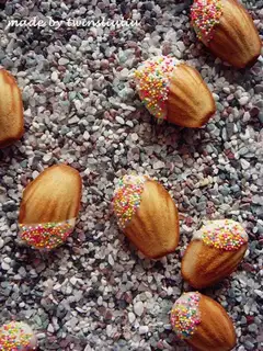 Shell Madeline