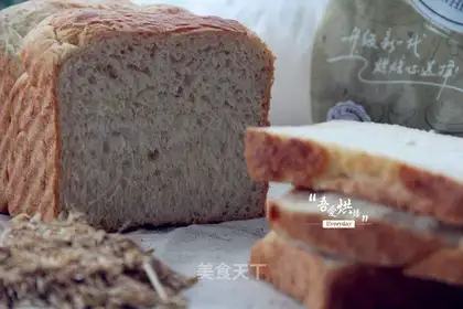 All wheat toast