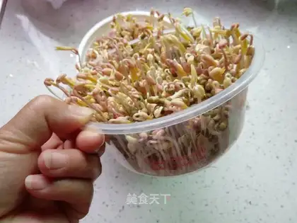 Auto green bean sprouts