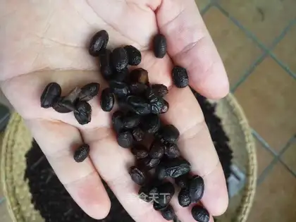 Glycerine black beans
