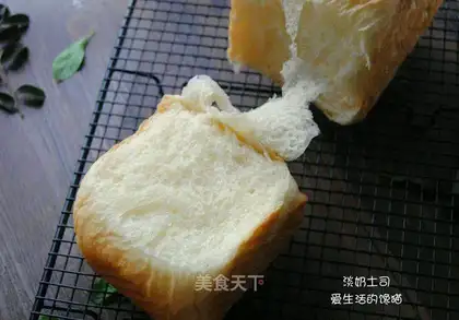 Light milk toast