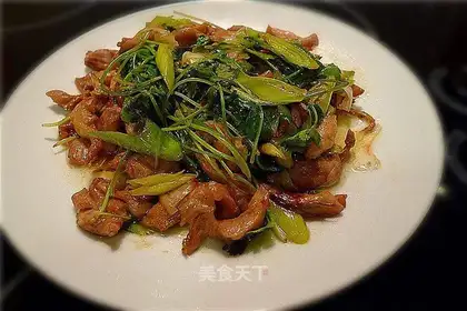 Sauce shredded chicken