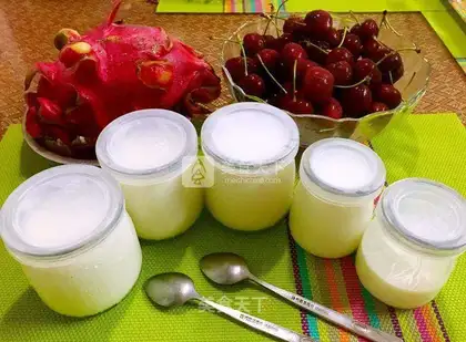 Yogurt