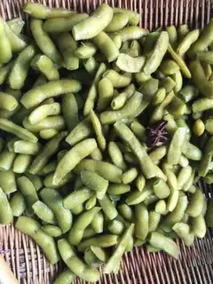 Salt-water beans