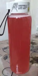 Pear yeast