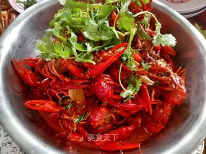 Shrimp