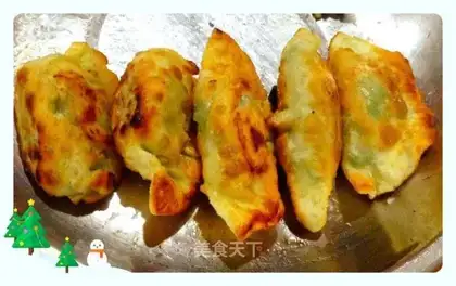 Fried dumplings