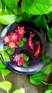 Hao Tong Moon Colour
