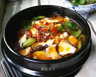 Squid fish