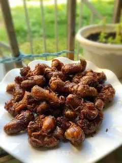 Fry the monkeys