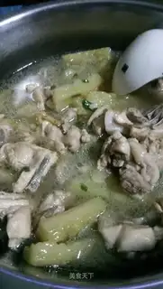 A bitter chicken soup
