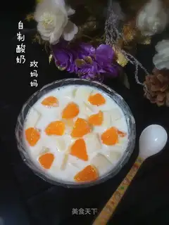 Homemade yogurt