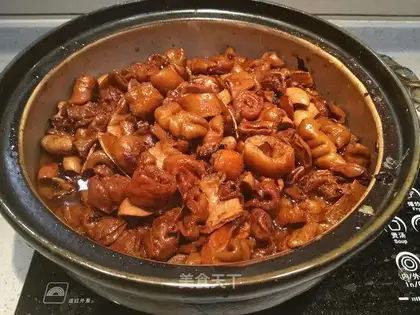 A pig's intestine