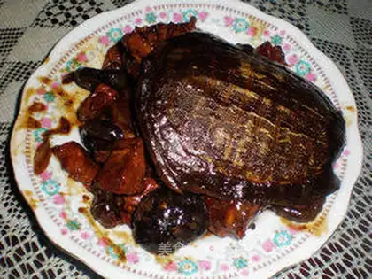 Braised turtle