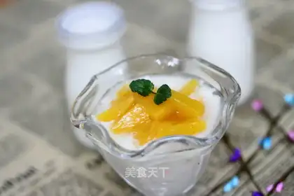 Homemade healthy yogurt