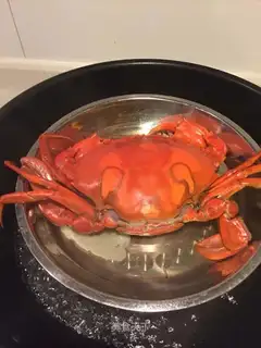 It's fresh and ferocious