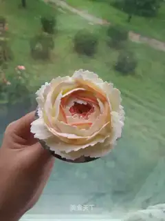 Cream cream