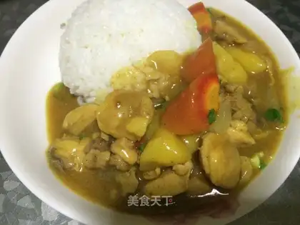 Potato curry chicken