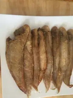 Pedalfish