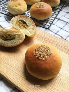 Wheat sprouts