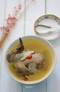 Pine pigeon soup