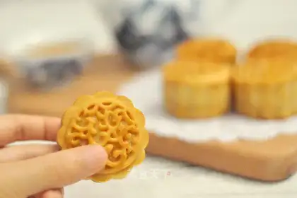 Coconut cranberry yellow mooncake