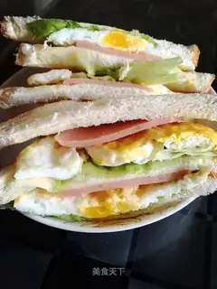 A sandwich