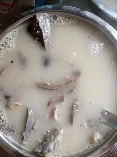 Ginger pig lung