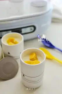A homemade cup of thick yogurt