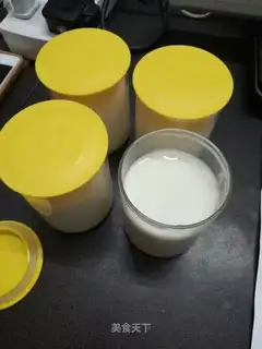 Home-made yogurt