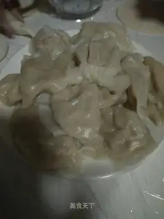 Pork dumplings