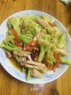 Squid