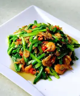 Shrimp