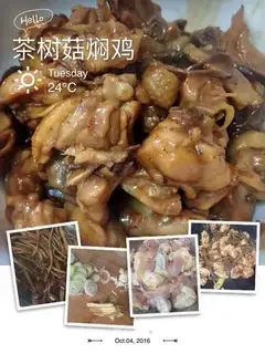 Tea mushroom chicken