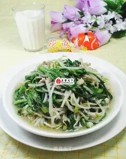 Sphinxed green bean sprouts