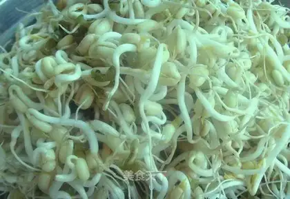 Green bean sprouts