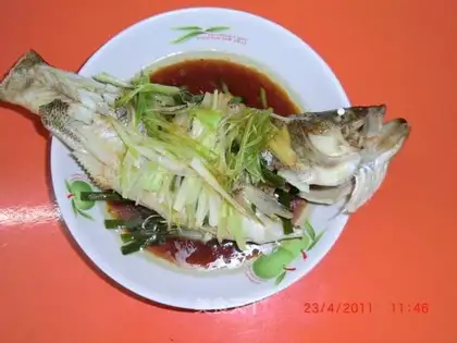 steamed bass